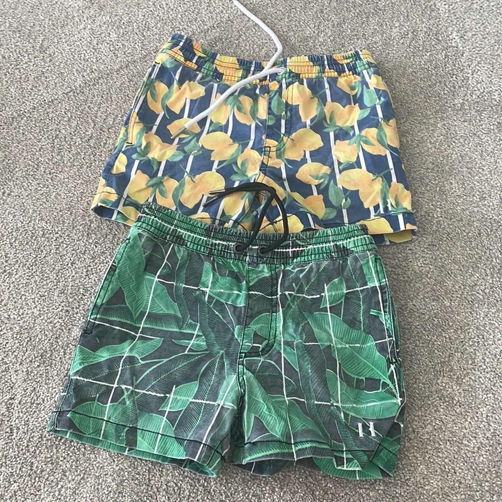 Beau Hudson swim trunks bundle